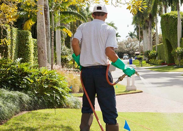 About Oxford MI Pest Control